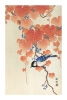 Ohara Koson - Small Bird on a Branch Variante 3