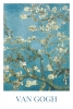 Vincent van Gogh - Almond Blossom Variante 1