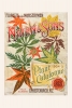 Nairn & Sons Ltd - Plant Catalogue Cover (1904) Variante 1