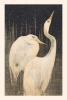 Theo van Hoytema - Two Egrets Variante 1