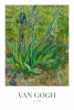Vincent van Gogh - Iris Variante 1