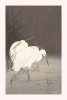 Ohara Koson - Two Egrets in the Reeds Variante 1