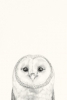 Animal Heads No. 3 - Barn Owl Variante 1