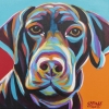 Colourful Dog Portrait No. 2 Variante 1