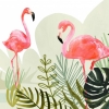 Flamingo Jungle Variante 1