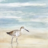Beach Bird No. 1 Variante 1