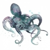 Octopus Variante 1