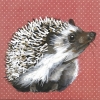 Young Hedgehog Variante 1
