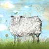 Blue-Eyed Sheep Variante 1