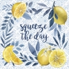 Squeeze the Day Variante 1