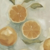 Citrus Paintings No. 1 Variante 1