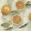 Citrus Paintings No. 2 Variante 1
