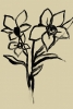 Black Ink Flowers Variante 1