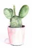 Cute Cacti No. 3 Variante 1