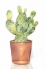 Cute Cacti No. 4 Variante 1
