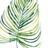 Tropical Leaf Collection No. 5 Variante 1
