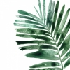 Tropical Leaf Collection No. 8 Variante 1