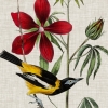 Bird Tapestry Variante 1
