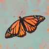 Monarch Butterfly Variante 1