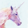 Unicorn Variante 1