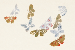 Kamisaka Sekka - Japanese Butterflies from Cho Senshu