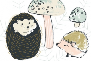 Hedgehogs & Mushrooms