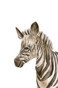 Animal Babies No. 4 - Zebra