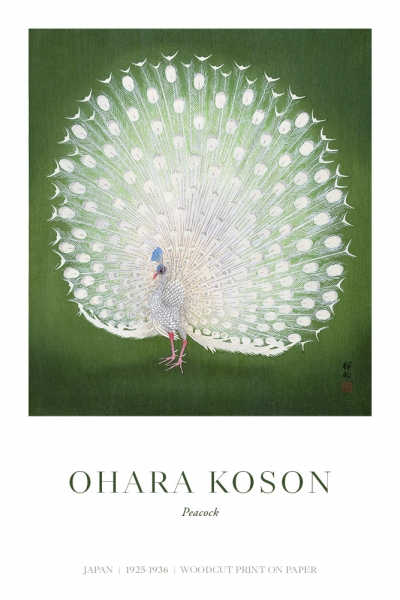 Ohara Koson - Peacock Variante 1 | 40x60 cm | Premium-Papier