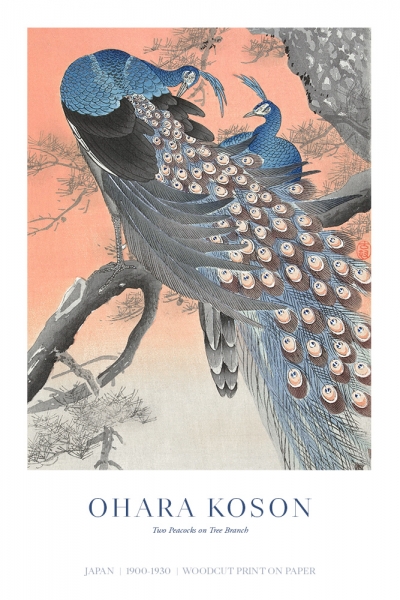 Ohara Koson - Two Peacocks on Tree Branch Variante 1 | 13x18 cm | Premium-Papier