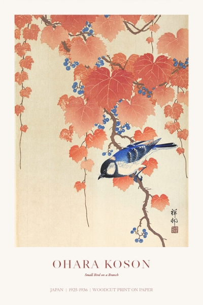 Ohara Koson - Small Bird on a Branch Variante 1 | 60x90 cm | Premium-Papier