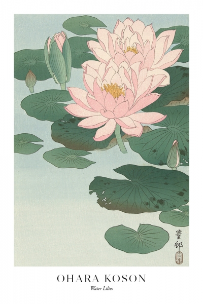 Ohara Koson - Water Lilies Variante 1 | 40x60 cm | Premium-Papier