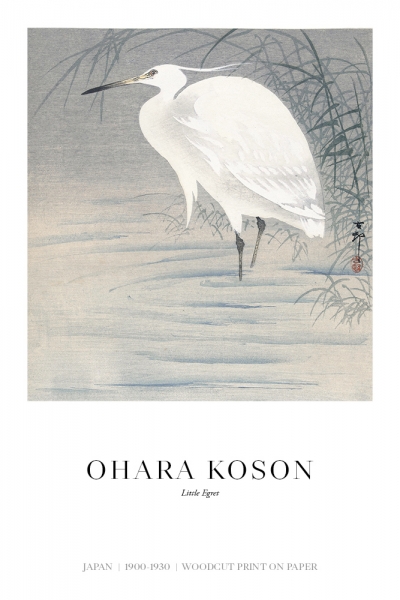 Ohara Koson - Little Egret Variante 1 | 30x45 cm | Premium-Papier