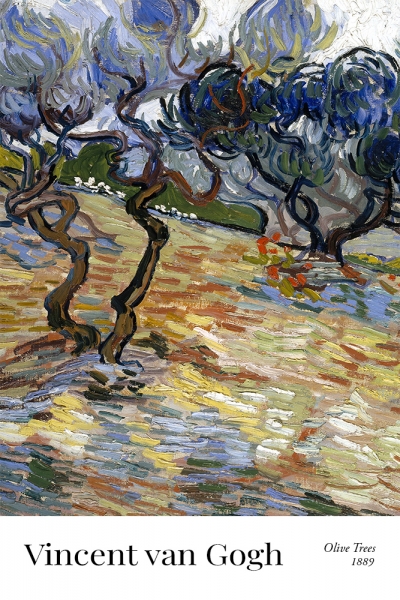 Vincent van Gogh - Olive Trees: Bright blue sky Variante 1 | 30x45 cm | Premium-Papier