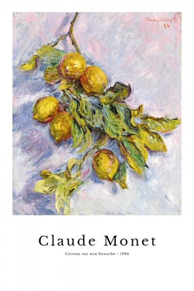 Claude Monet - Citrons sur une branche Variante 1 | 30x45 cm | Premium-Papier