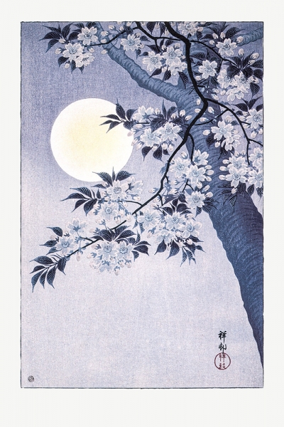 Ohara Koson - Blossoming Cherry on a Moonlit Night Variante 1 | 20x30 cm | Premium-Papier
