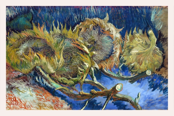 Vincent van Gogh - Four Withered Sunflowers 