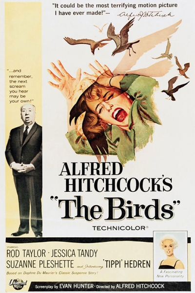 Movie Poster 'The Birds', directed by Alfred Hitchcock (1963) Variante 1 | 30x45 cm | Premium-Papier