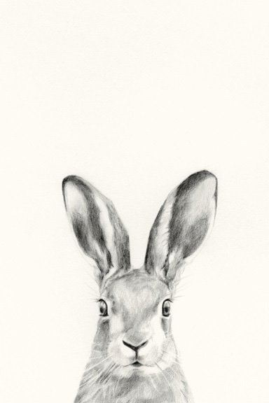 Animal Heads No. 1 - Hare 