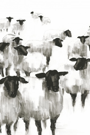 The Sheep Herd 