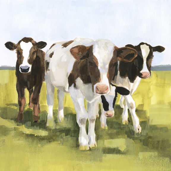 Curious Cows Variante 1 | 60x60 cm | Premium-Papier