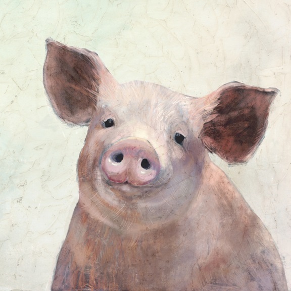 Pig Portrait No. 1 Variante 1 | 60x60 cm | Premium-Papier