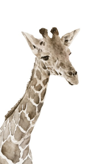 Animal Babies No. 2 - Giraffe 