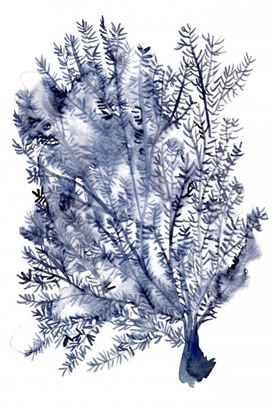 Underwater Flora No. 2 Variante 1 | 13x18 cm | Premium-Papier