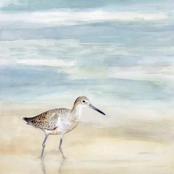 Beach Bird No. 1 