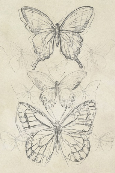 Butterfly Drawing Variante 1 | 60x90 cm | Premium-Papier