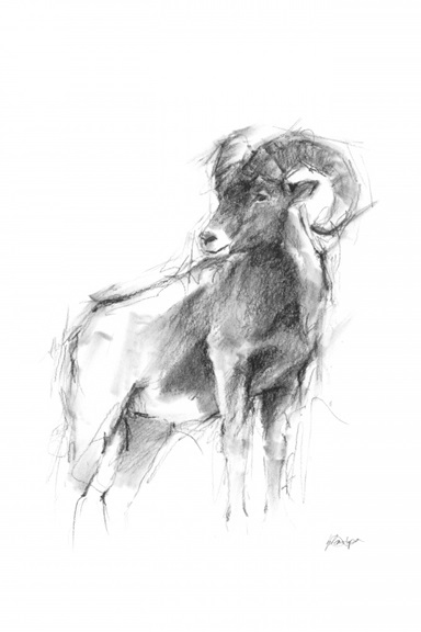 Animal Sketch No. 3 