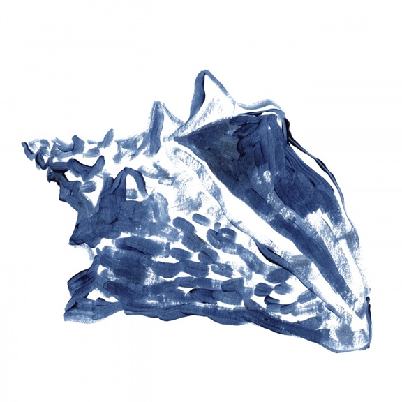 Blue Shell No. 3 Variante 1 | 60x60 cm | Premium-Papier