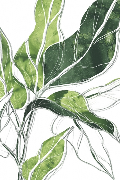 Green Sketches No. 3 Variante 1 | 20x30 cm | Premium-Papier