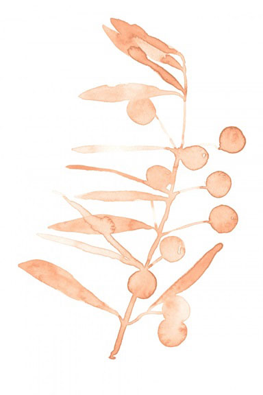 Amber Olive Branch Variante 1 | 30x45 cm | Premium-Papier