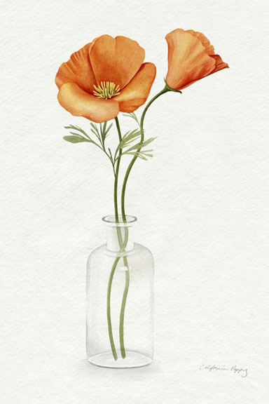 Poppy Vase Variante 1 | 40x60 cm | Premium-Papier